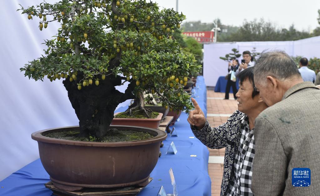 鼎盛国际手机版app